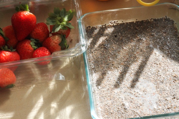 Chia pudding  1 of 1 3