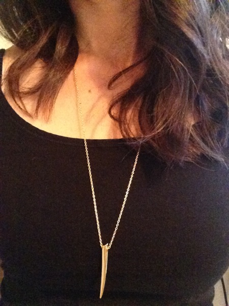 Horn necklace