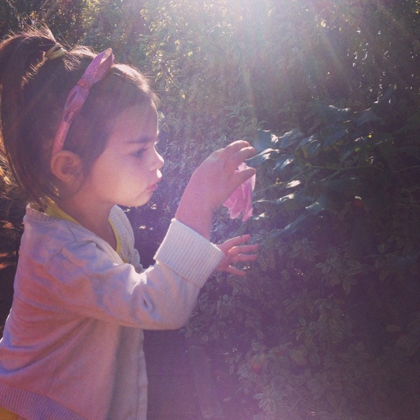 Smelling the roses