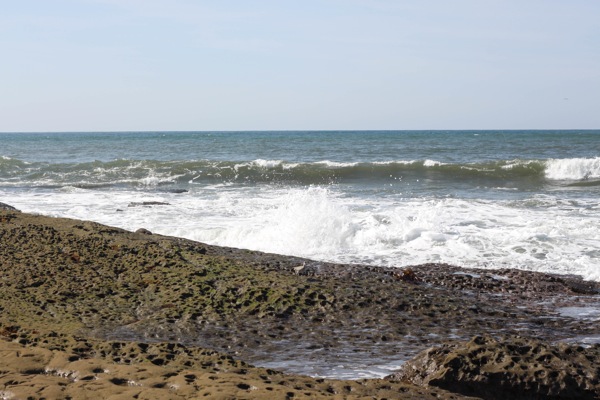 Tide pool  1 of 1 2