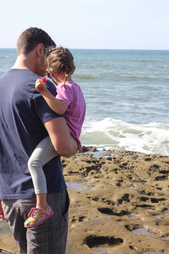 Tide pool  1 of 1