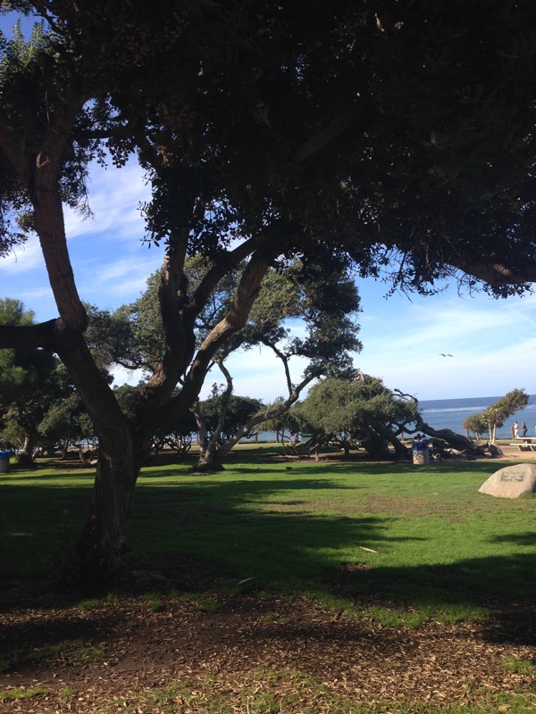 La jolla park