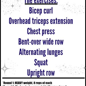 Fit Tuesday! Total Body Circuit Workout - The Fitnessista