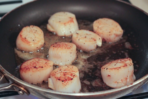 Scallops  1 of 1