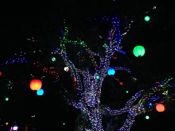 Zoolights4