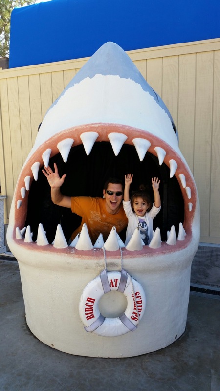 Tom and liv and shark