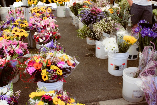 Market flowers  1 of 1