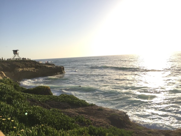 La jolla view