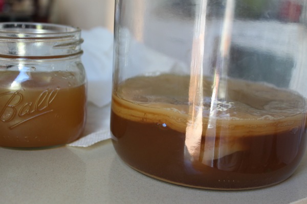 Scoby  1 of 1 2