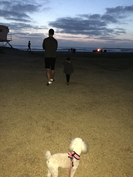 Beach walks