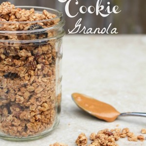 Peanut butter oatmeal cookie granola