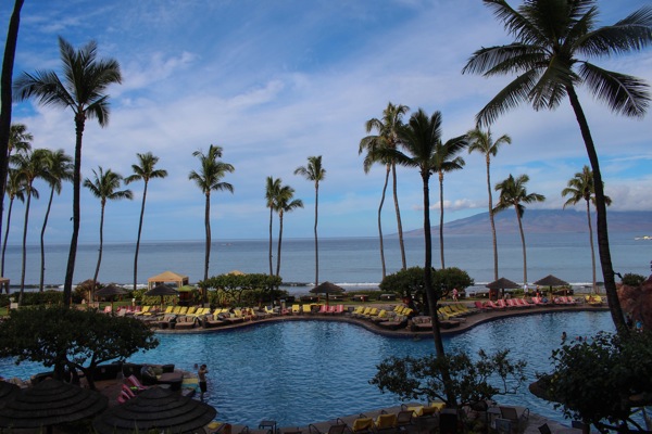 Hyatt pool  1 of 1