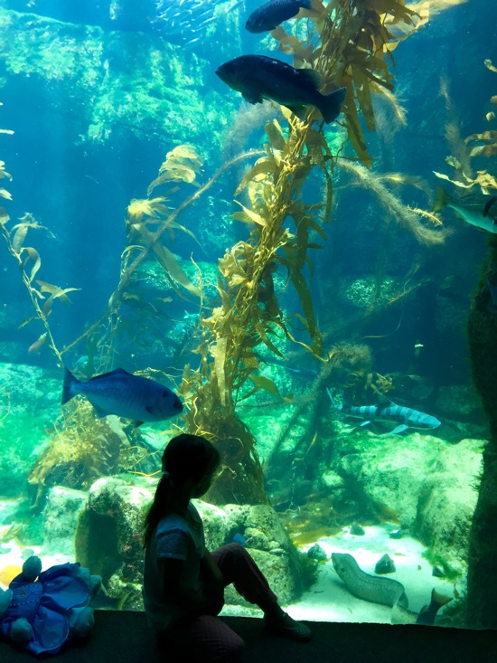 Liv at aquarium