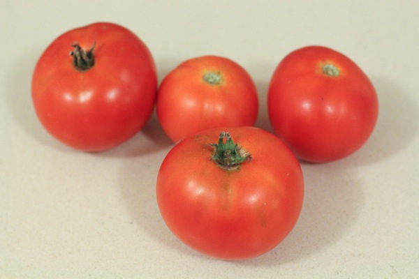 Tomatoes  1 of 1