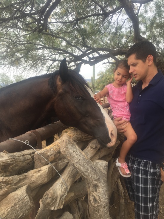 Livi and the horse