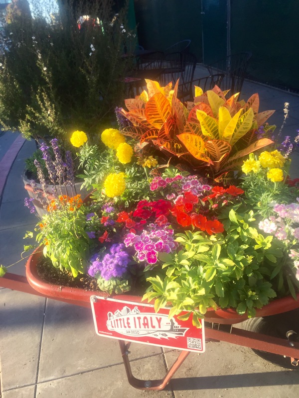 Flower cart