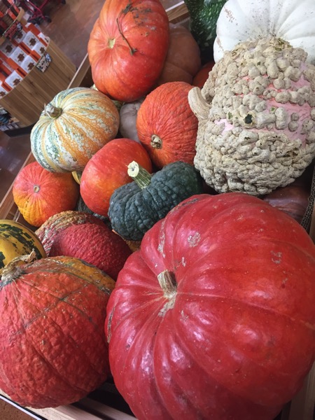 Gourds