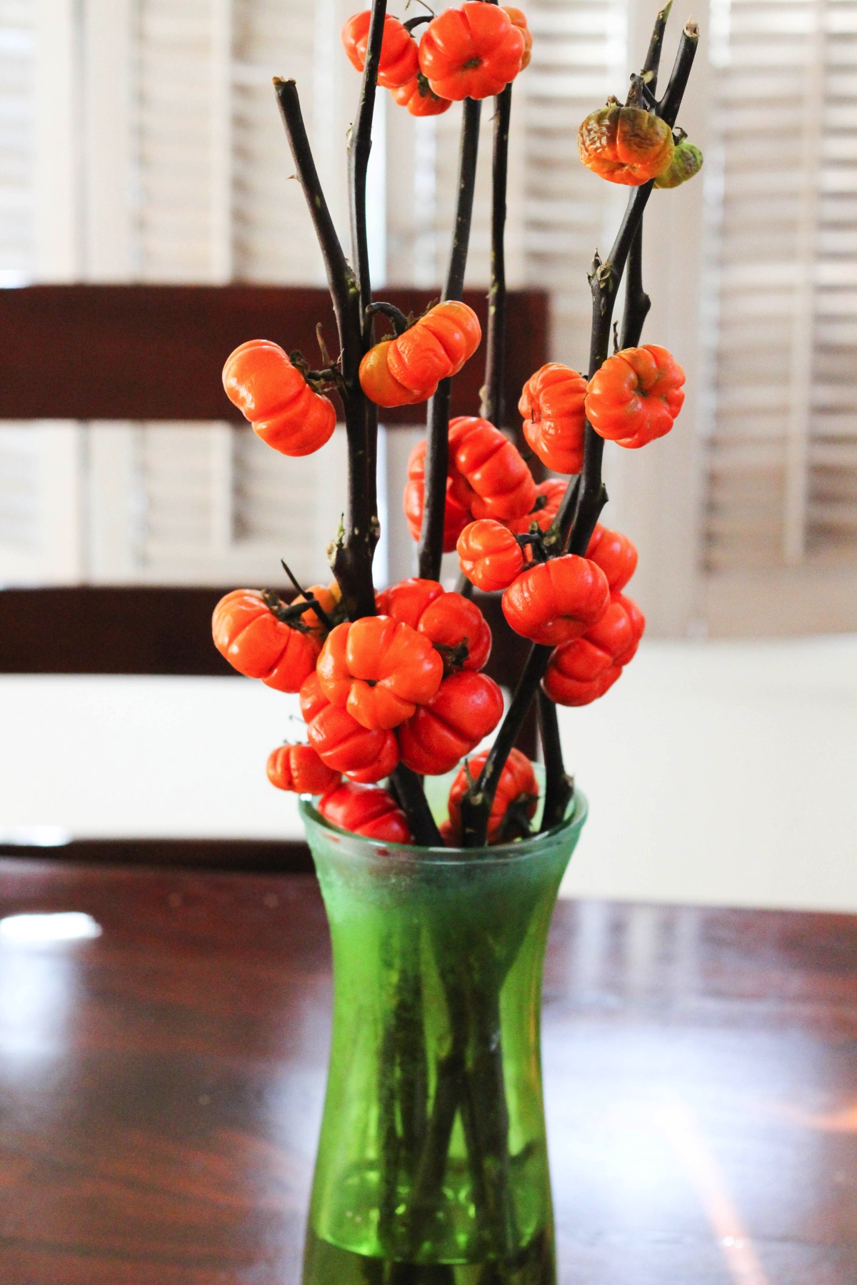 Pumpkin tree