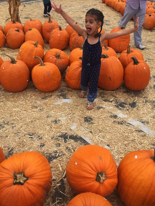 Liv at pumpkin station