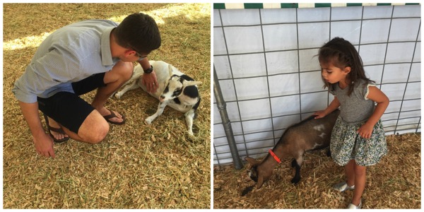 Petting the goats