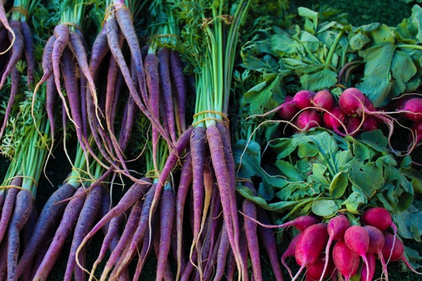 Carrots and radishes