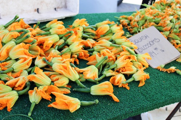 Squash blossoms