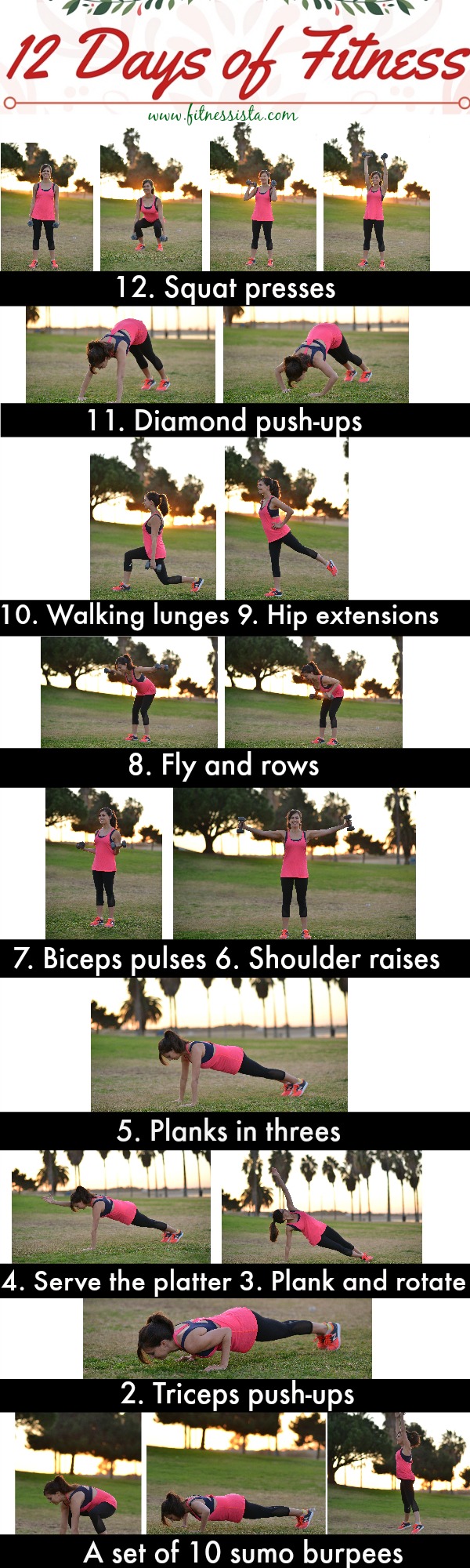 12 days of fitness workout - Here’s a quick workout you can do anywhere. All you need is a set of dumbbells. fitnessista.com #12daysoffitness #Christmasworkout #holidayworkout #strengthworkout #quickworkout