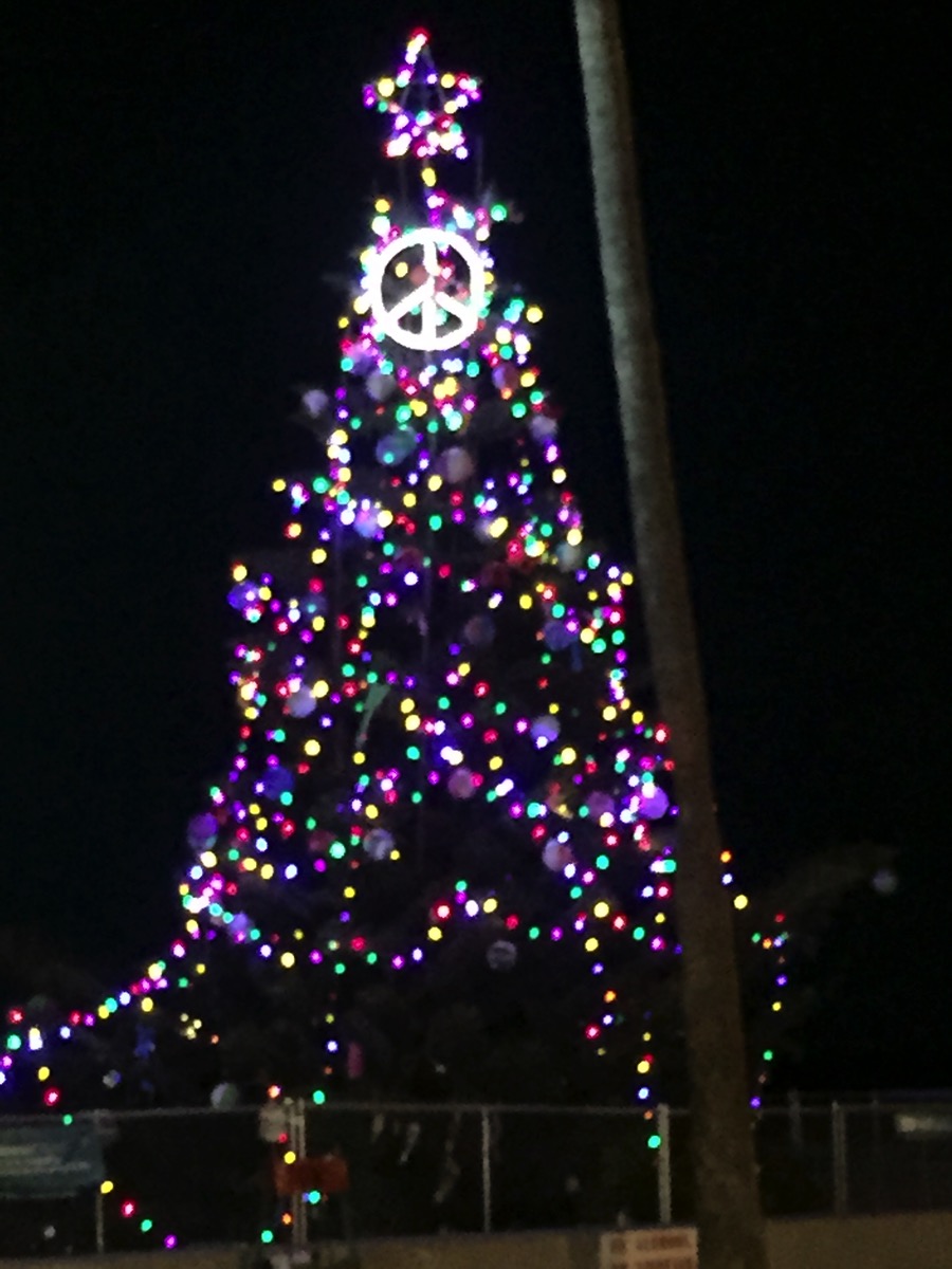 Ob tree at night