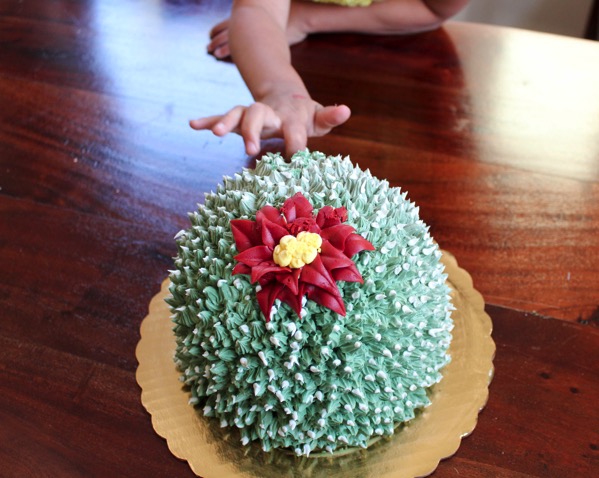 Cactus cake 3