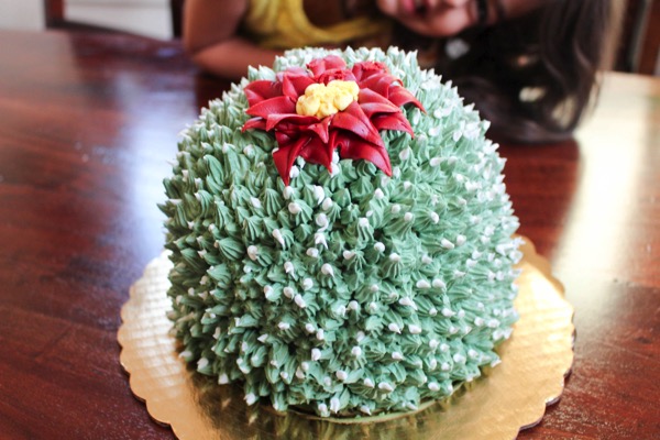 Cactus cake