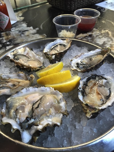 Oysters