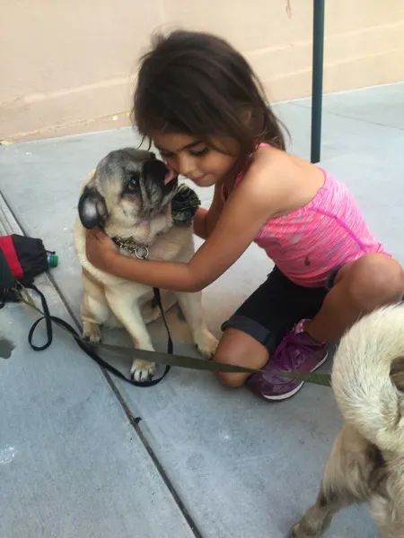 Pug kiss