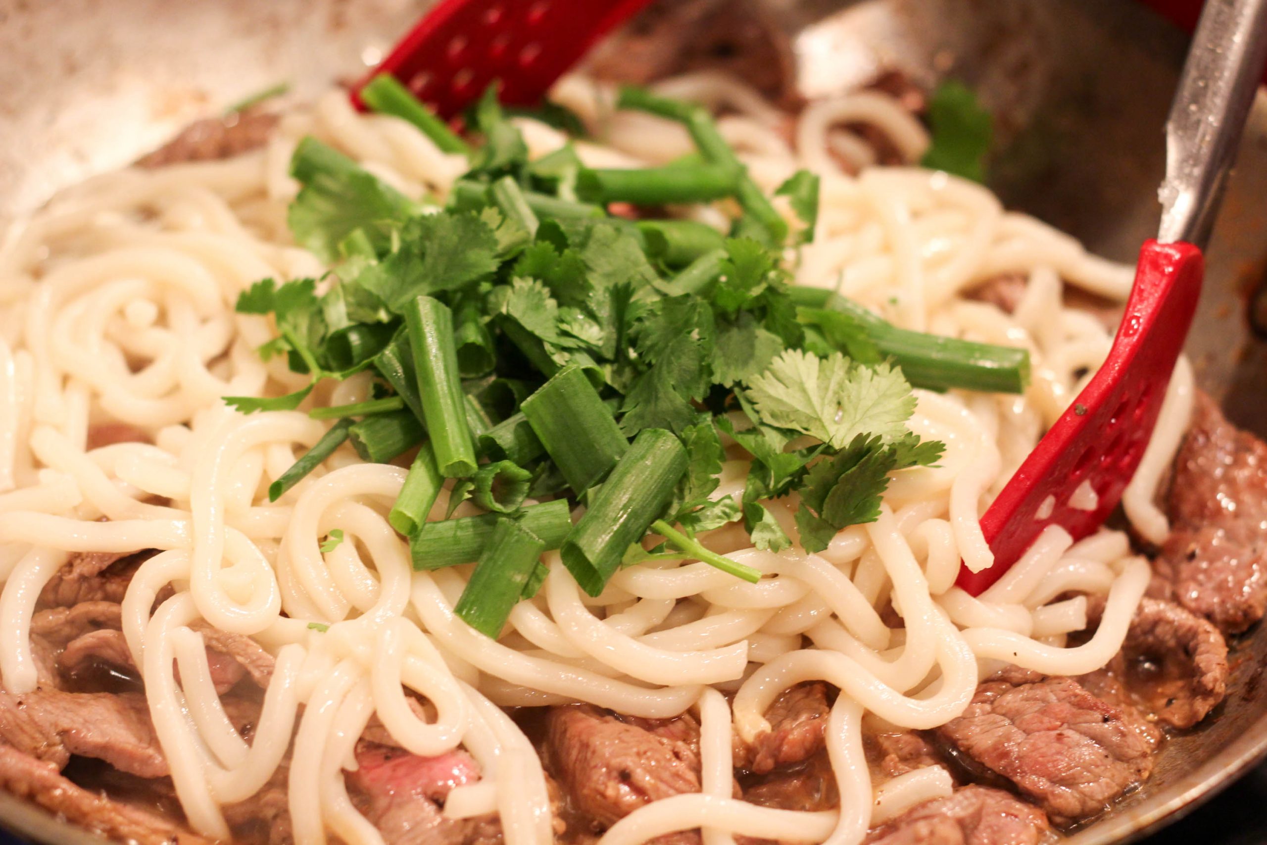 udon noodles with scallions and cilantro