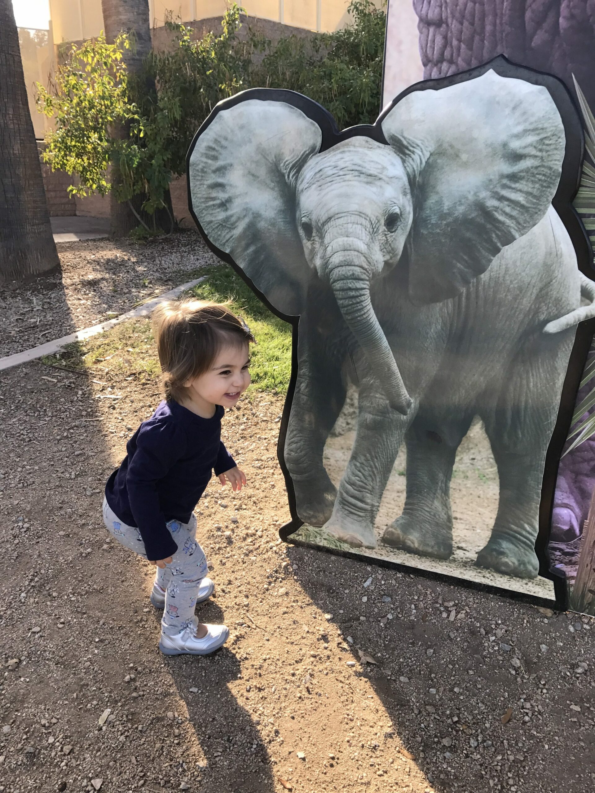 P and a pretend elephant