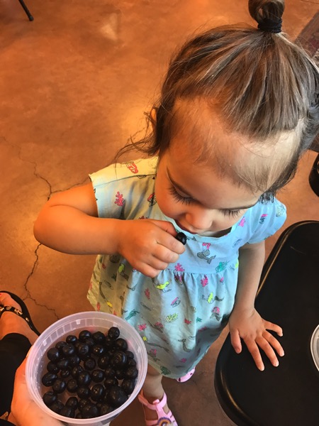 Blueberries with p