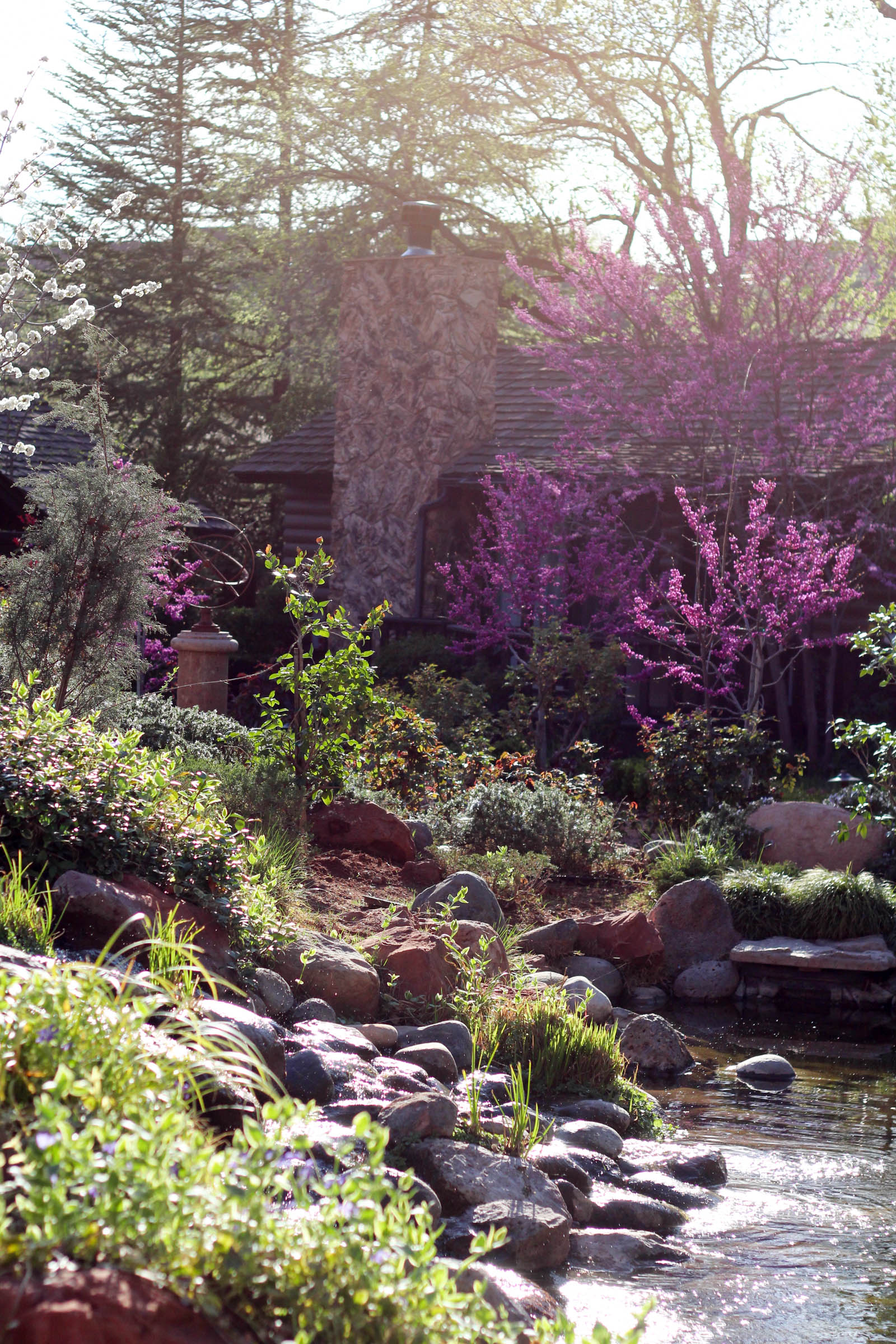 Sedona beauty