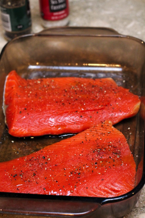 Salmon