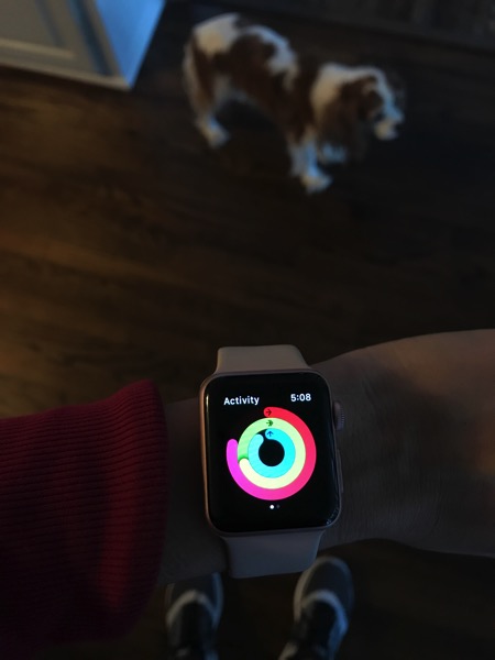 Apple Watch motion targets