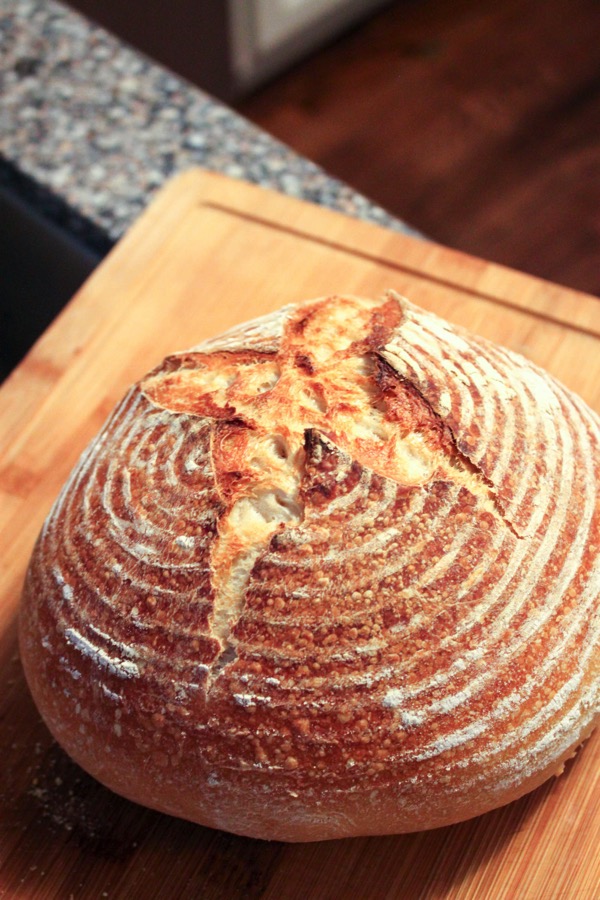 Sourdough 3