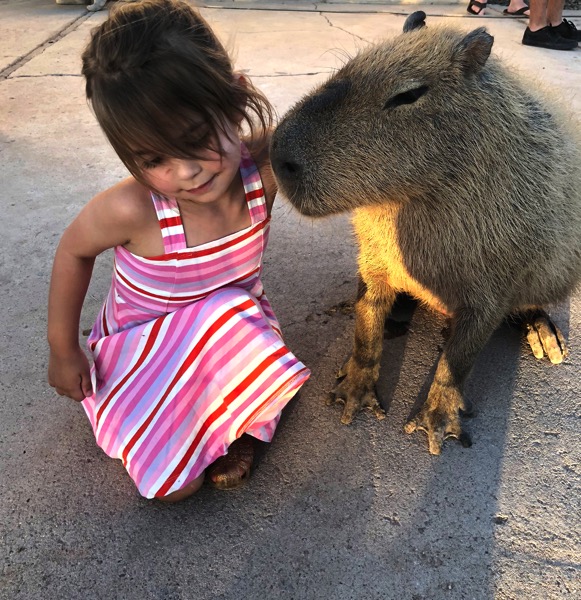 Capybara