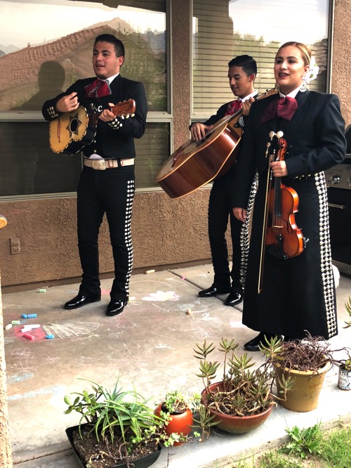 Mariachis