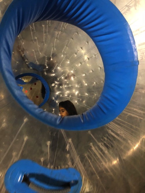 Hamster ball