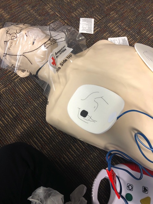 Cpr cert