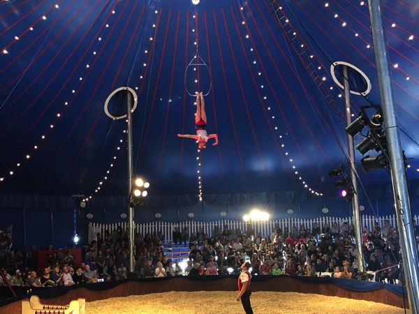 Circus