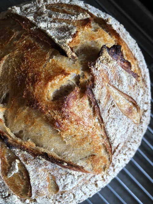 Kyles sourdough