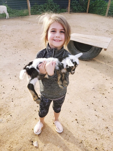 P holding the baby goat