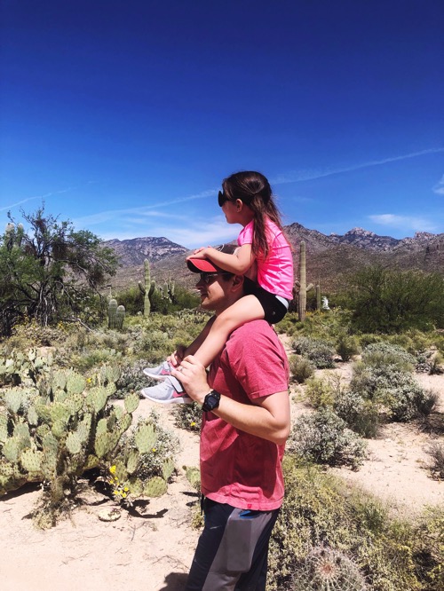 Sabino canyon walk