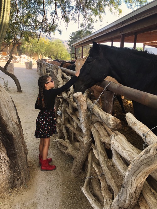 Livi w the horse