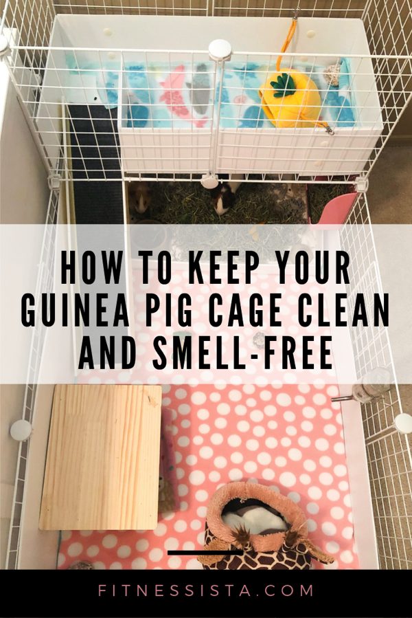 Guinea pig hotsell cage cleaning supplies