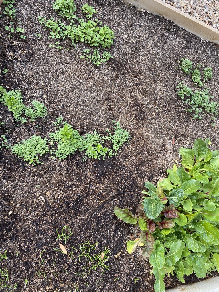 DIY raised garden bed! Grow your own veggies and herbs at home. fitnessista.com